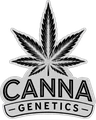 Canna Genetics