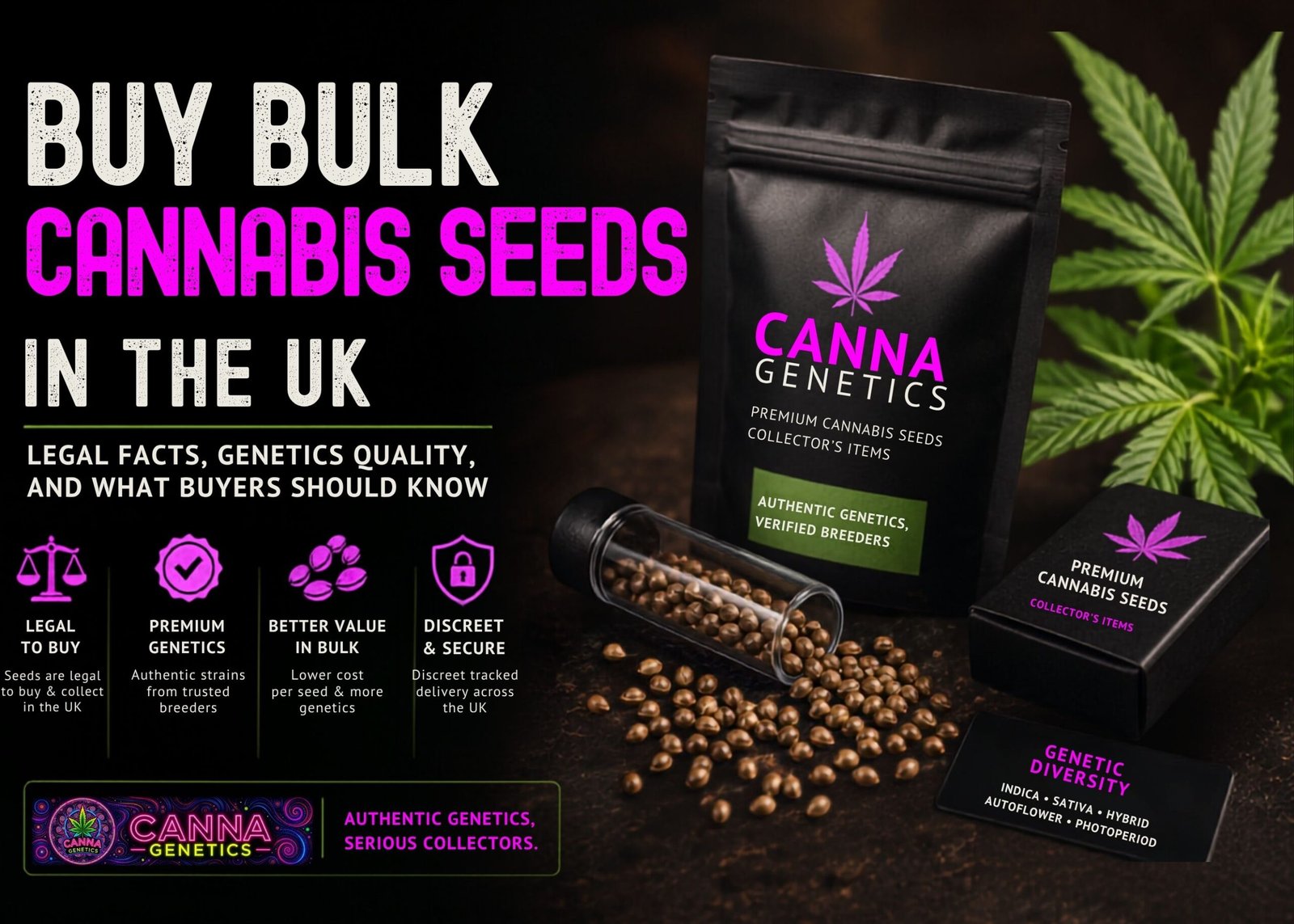 Buy Bulk Cannabis Seeds in the UK: Legal Facts, Genetics Quality, and What Buyers Should Know