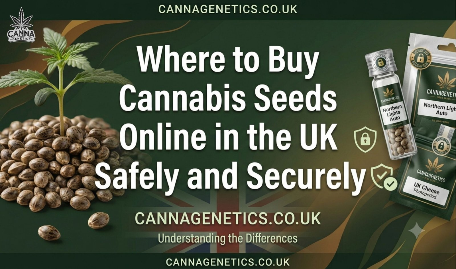 Where to Buy Cannabis Seeds Online in the UK Safely and Securely
