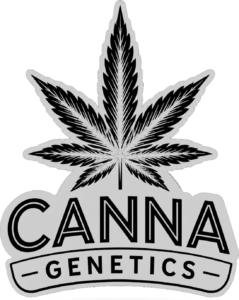 Canna Genetics