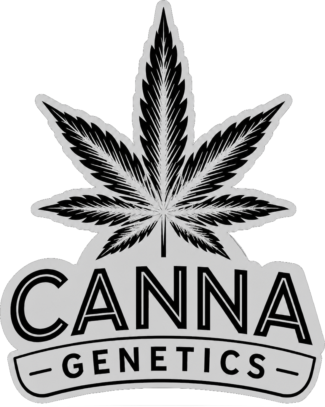 Canna Genetics