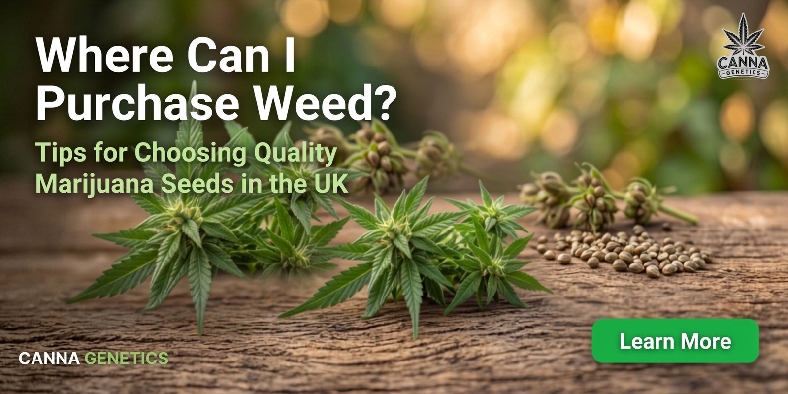 Where Can I Purchase Weed? Tips for Choosing Quality Marijuana Seeds in the UK