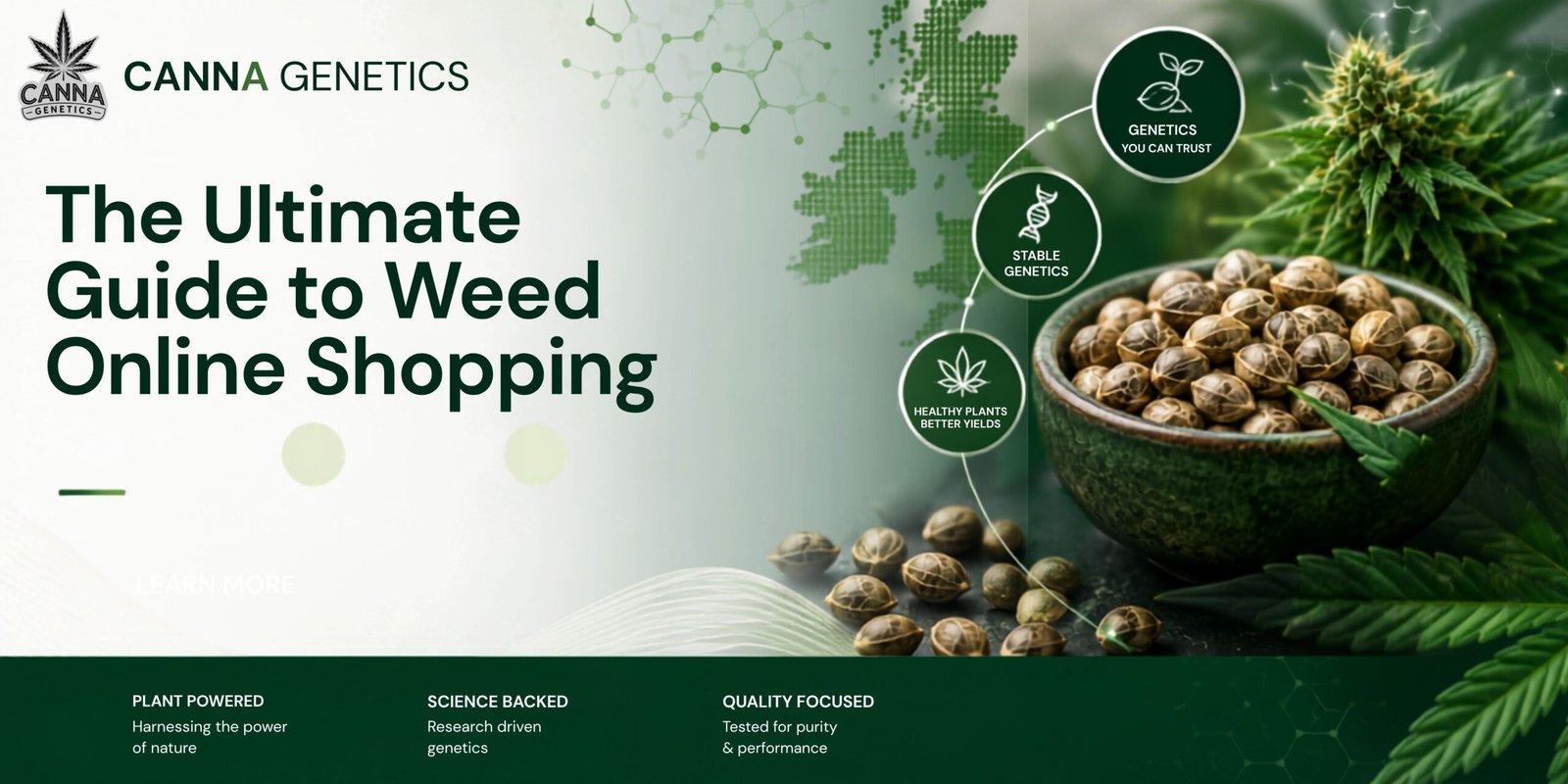 The Ultimate Guide to Weed Online Shopping 