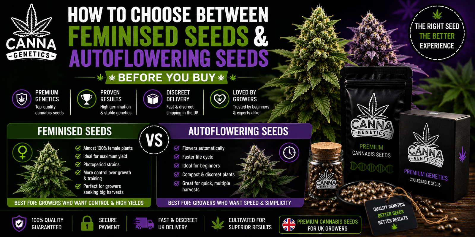 How to Choose Between Feminised Seeds and Autoflowering Seeds Before You Buy 