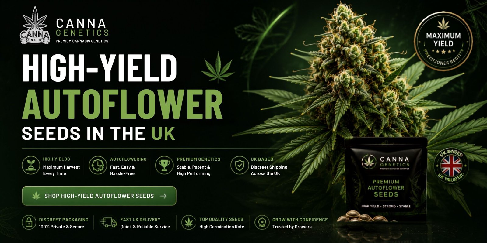 How to Choose High-Yield Autoflower Seeds in the UK 