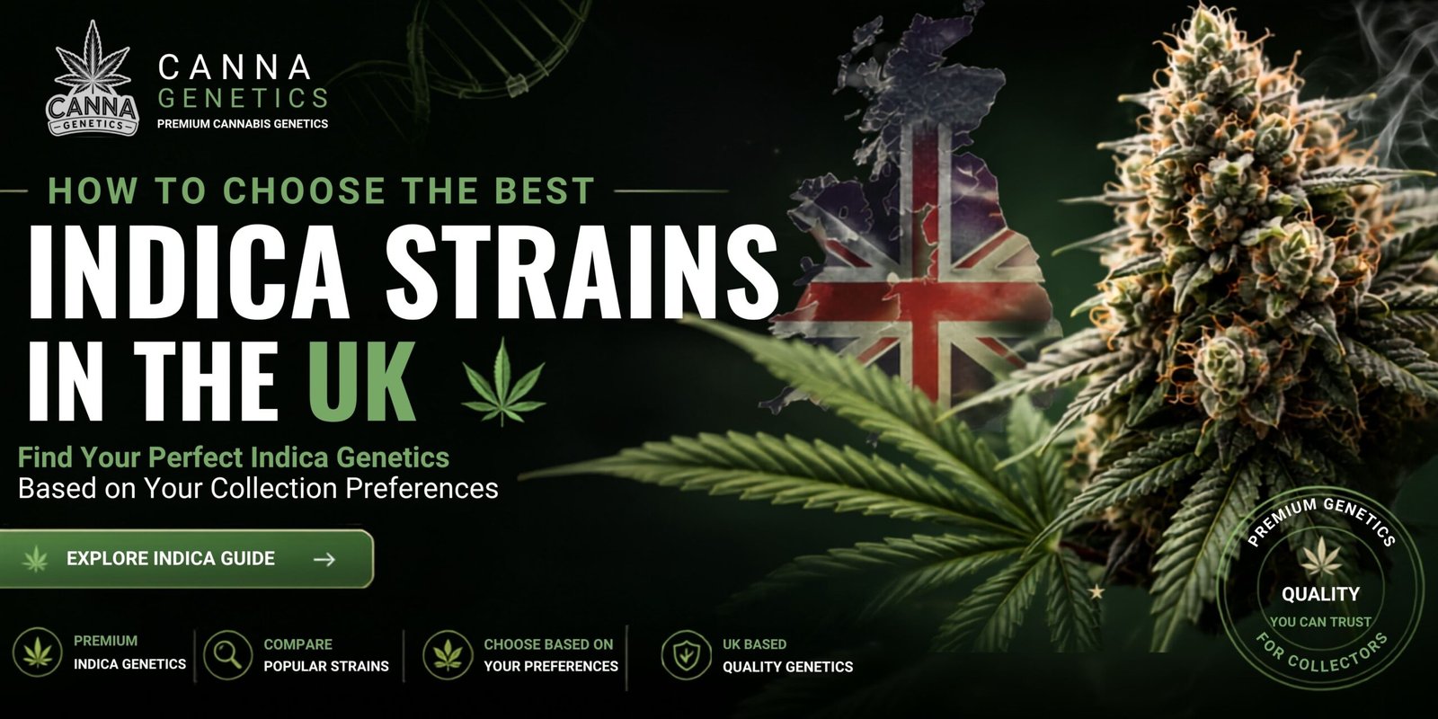 How to Choose the Best Indica Strains in the UK Based on Your Preferences 