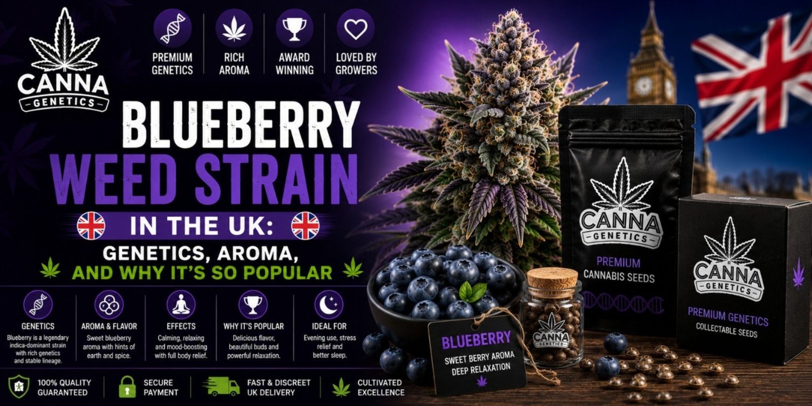Blueberry Weed Strain in the UK: Genetics, Aroma, and Why It’s So Popular