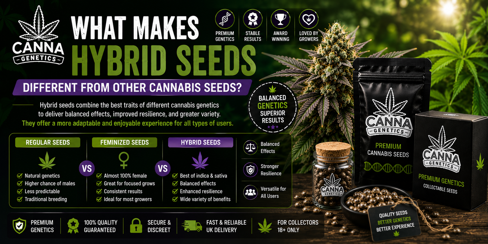 What Makes Hybrid Seeds Different from Other Cannabis Seeds?