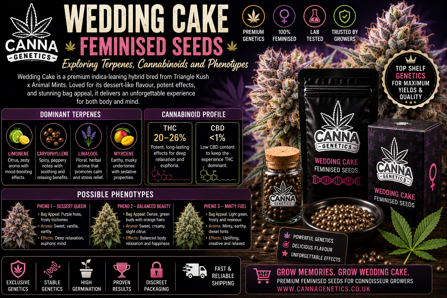 Wedding Cake Feminised Seeds: Terpenes, Cannabinoids & Phenotypes