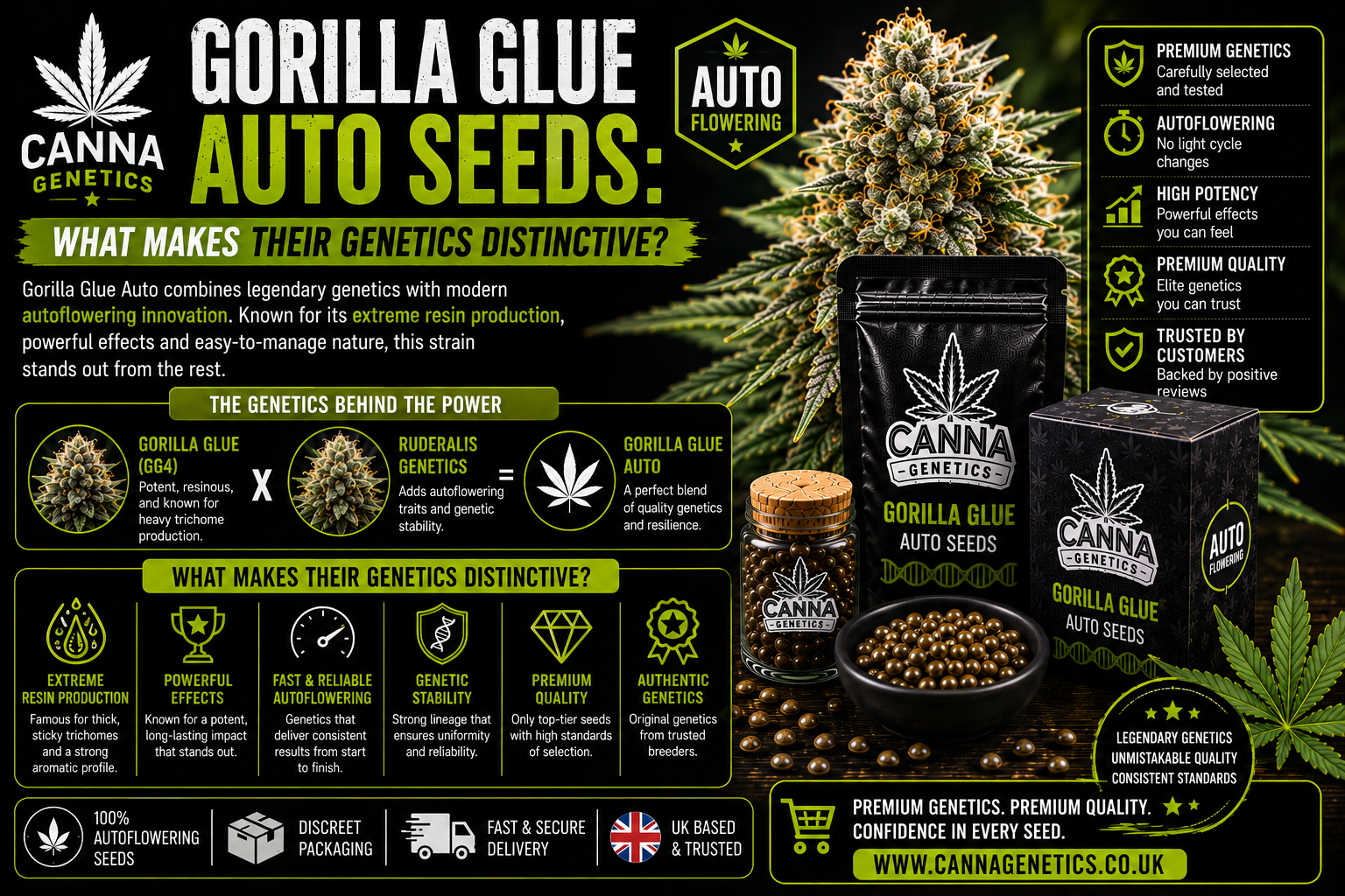 Gorilla Glue Auto Seeds: What Makes Their Genetics Distinctive?