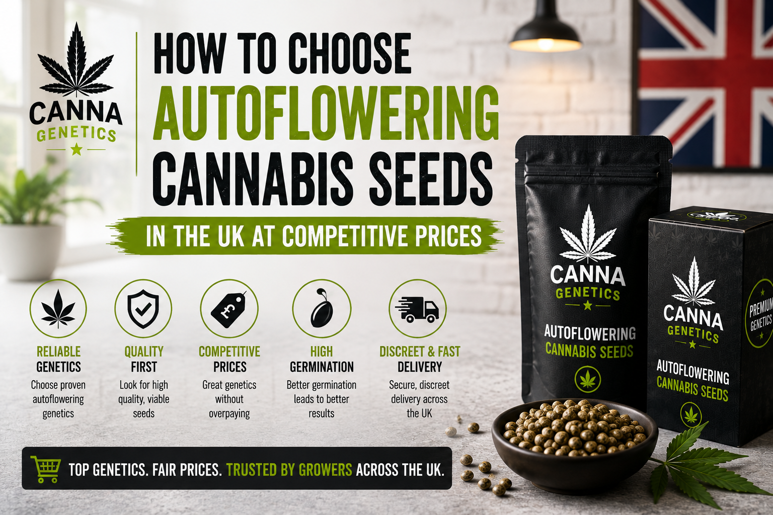How to Choose Autoflowering Cannabis Seeds in the UK at Competitive Prices