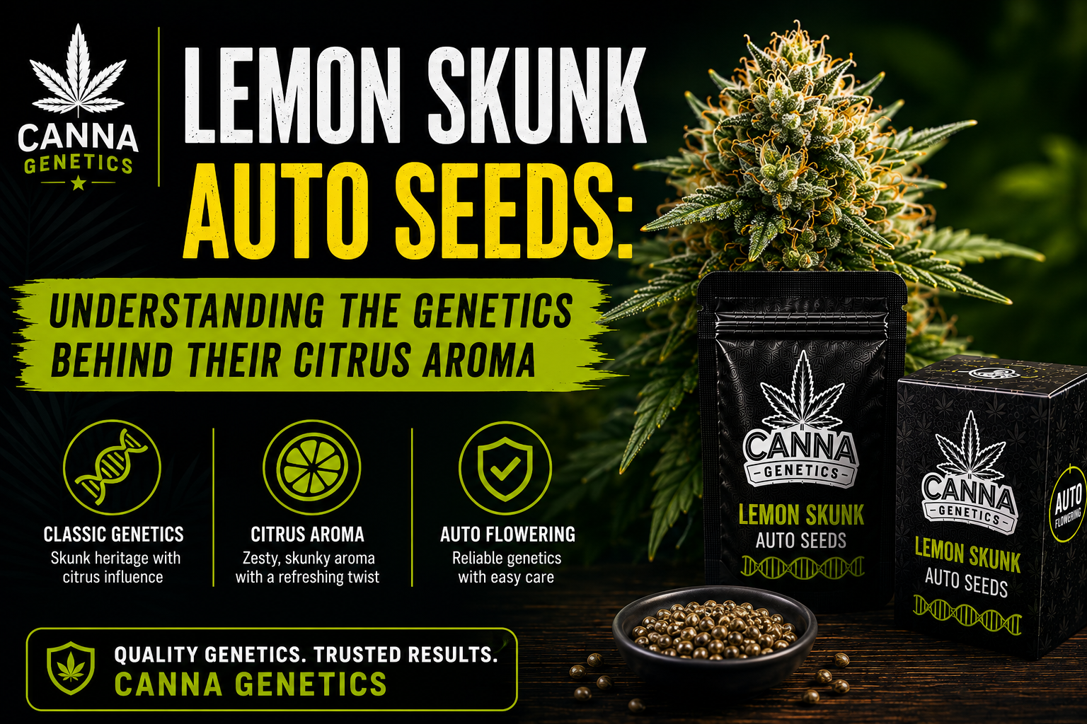 Lemon Skunk Auto Seeds: Understanding the Genetics Behind Their Citrus Aroma
