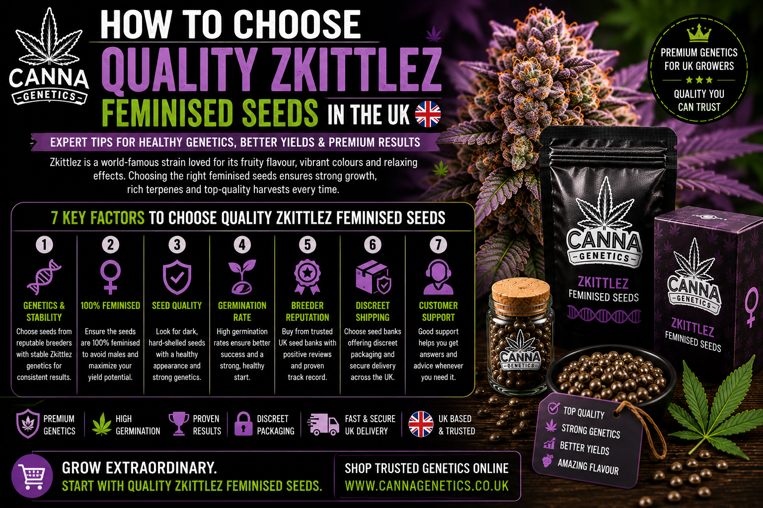 Purple Punch Fast Seeds: Quality Genetics Guide