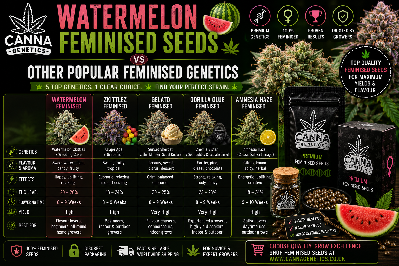 Watermelon Feminised Seeds vs Popular Genetics